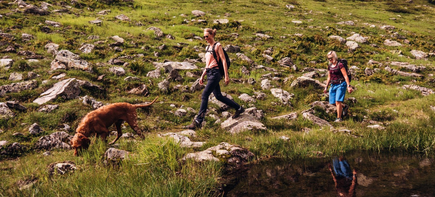 hund-wandern Zwei Personen wandern mit einem Hund durch die Berge